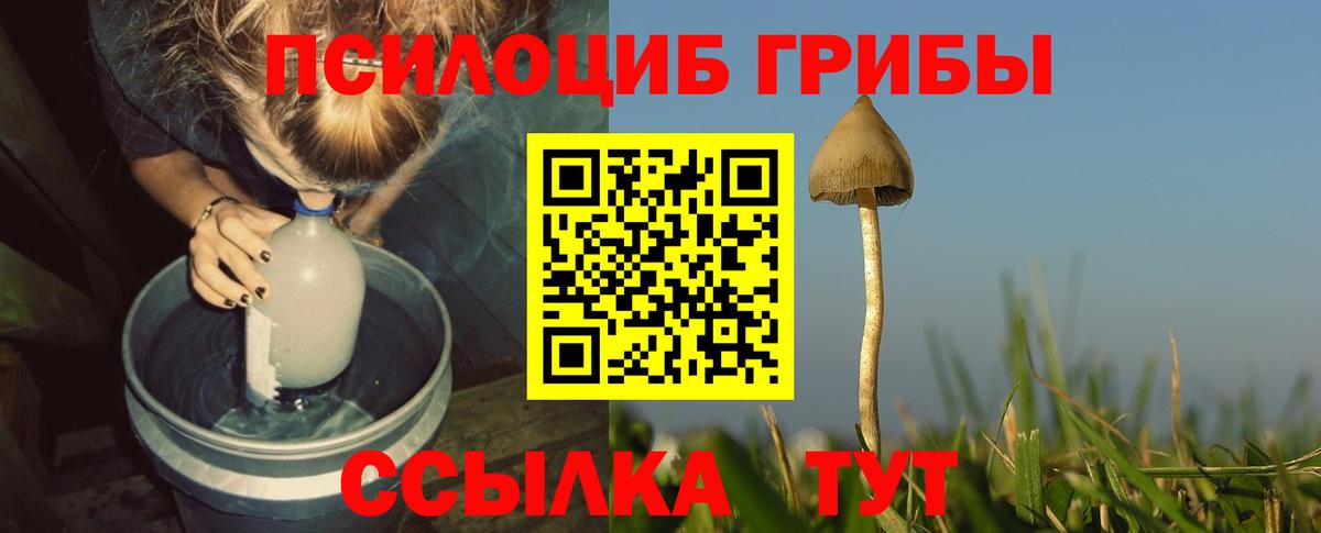 Галлюциногенные грибы ЛСД  Вход с VPN  Лабинск  Галлюциногенные грибы Cubensis 